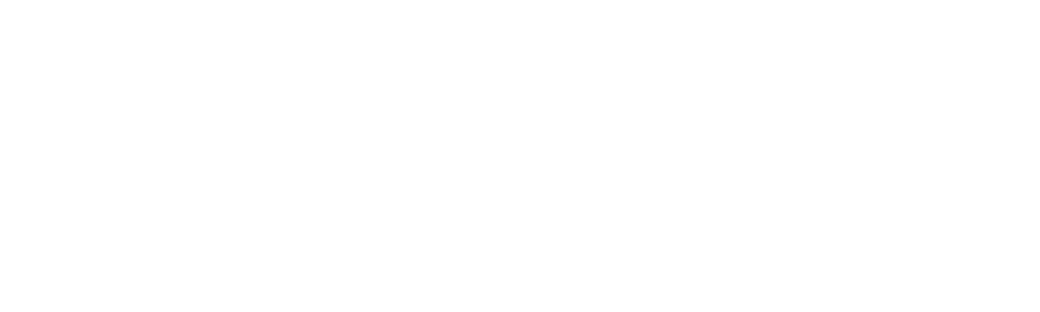 Logo ravex